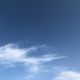 豆友198730341
