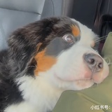 好梅实洞洞鞋