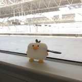 王爱国