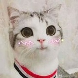 无情的路人甲