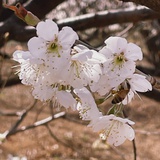 七月一日一点