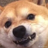 O墩墩oO