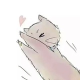 阿维