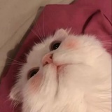 提提提提提