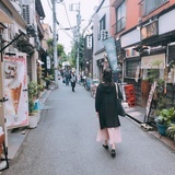 豌豆荚