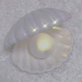 宇宙拿铁咖啡馆