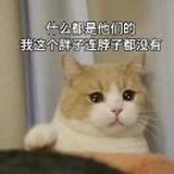 记得要早睡。