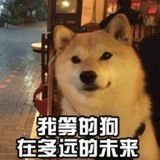 小七様