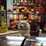 QAQ