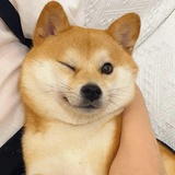 粉色mo