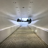 西莫