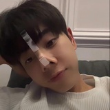 没有小狗不能活