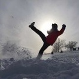 飘