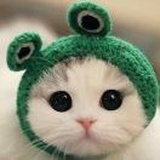 LL蕾🍀