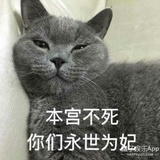夏茉
