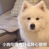 明宝2025