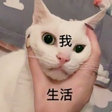 娇妹儿呀