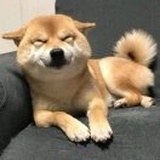 HIWIN李超₁₅₈₆₆₇
