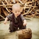 松下问榕子