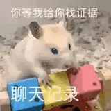 野良神