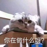 扛把子