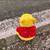哈尔的移动城堡