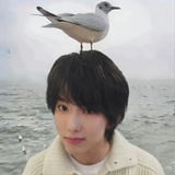 天马小使鼠柏全