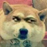 格格怒了