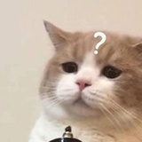 木剑游侠儿