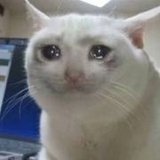 苏无相