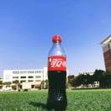 九朝