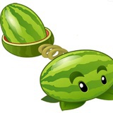 🍉🍉🍉🍉🍉