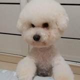 阿乐
