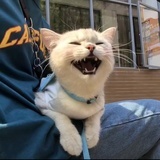 陈沉很沉