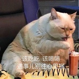等等总会有的