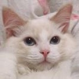 你家楼下王小花