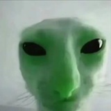LilAinStan