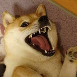江城