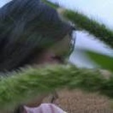 一般