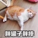 必须瘦回去的xq