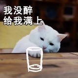大概是个纸