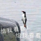 再见拟茨