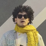 卷毛狒狒