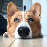 吴下阿蒙