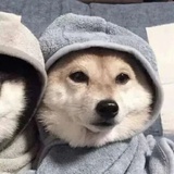 谁曾谁不曾