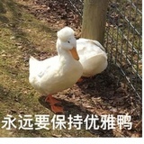 嘟嘟崽