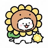 🟡🟡🟡🟡🟡🟡