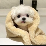 别喝我的气泡水