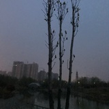 豆友199899397