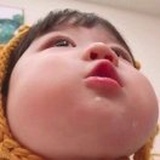 嘟嘟嘟